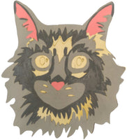Maine Coon Cat