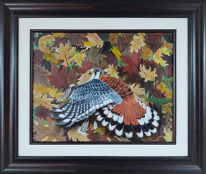 Kestrel Oil Painting!