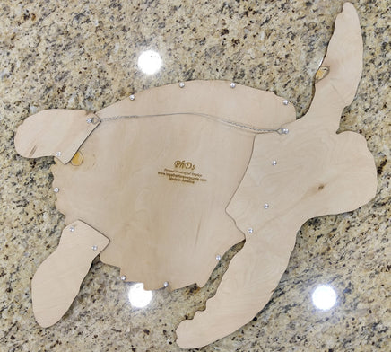 Sea Turtle Guest Book