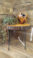 Deodar Cedar Accent Table 
