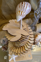 Natural Sea Turtle Memory Sculpture Guest Book