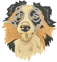 Australian Shepherd