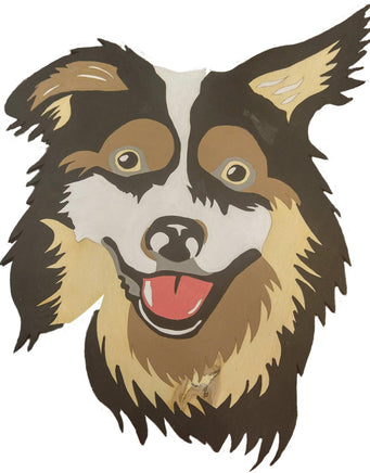 Border Collie