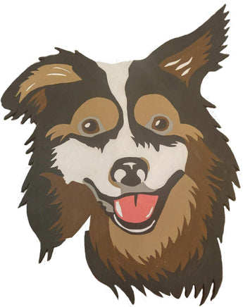 Border Collie