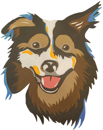 Border Collie
