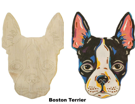 Boston Terrier