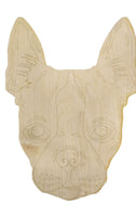 Boston Terrier