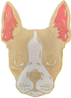 Boston Terrier