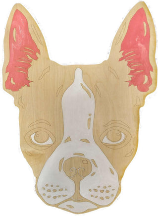 Boston Terrier