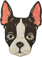 Boston Terrier