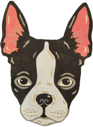 Boston Terrier
