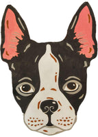 Boston Terrier