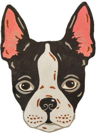 Boston Terrier