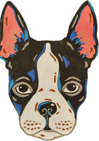 Boston Terrier