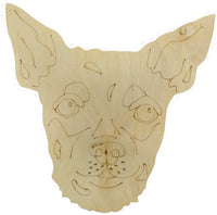 Chihuahua