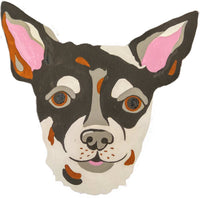 Chihuahua