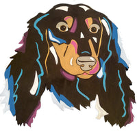Dachshund
