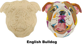 English Bulldog