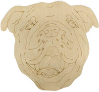 English Bulldog