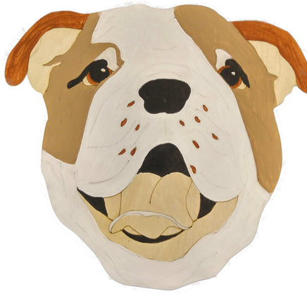 English Bulldog
