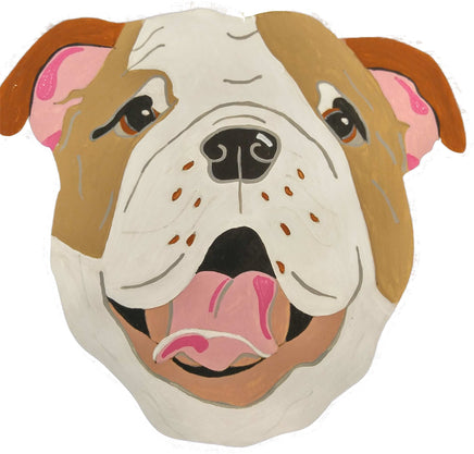 English Bulldog