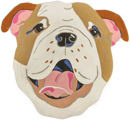 English Bulldog