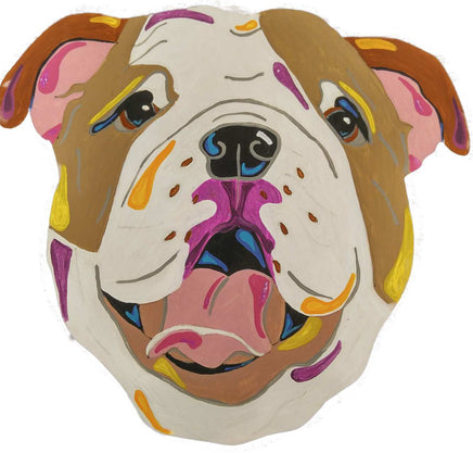 English Bulldog