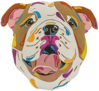 English Bulldog