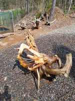 Mother Goose Driftwood Sculpture by Jane Cherry