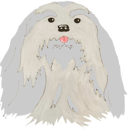 Lhasa Apso