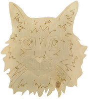 Maine Coon Cat