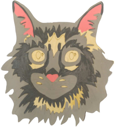 Maine Coon Cat