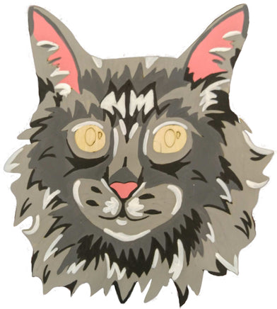 Maine Coon Cat