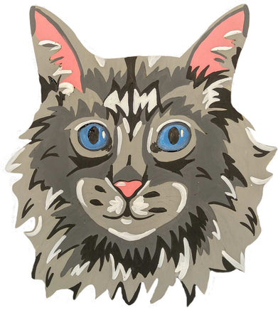 Maine Coon Cat