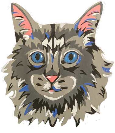 Maine Coon Cat