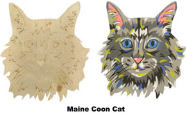 Maine Coon Cat