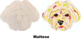 Maltese