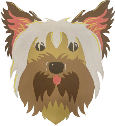 Yorkshire Terrier 