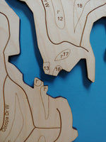 Lake Kiowa, Texas - Laser Cut Wood Map